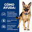 24 latas x 200 g Hill's Prescription Diet Gastrointestinal Biome Pollo lata para perros ¡Pack ahorro!, , large indicador imagen numero 3